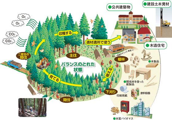 地球温暖化問題と森林の関係図